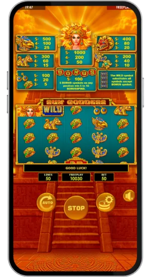 Spin in Progress Good Luck Screen