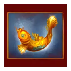 Colorful koi fish